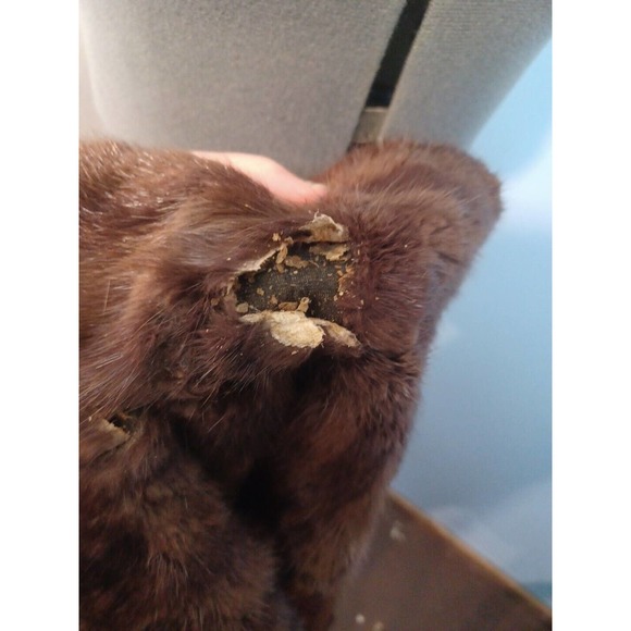 IR Fox New York Striped Fur Wrap Cape Women One Size Brown 1950 - Picture 8 of 15